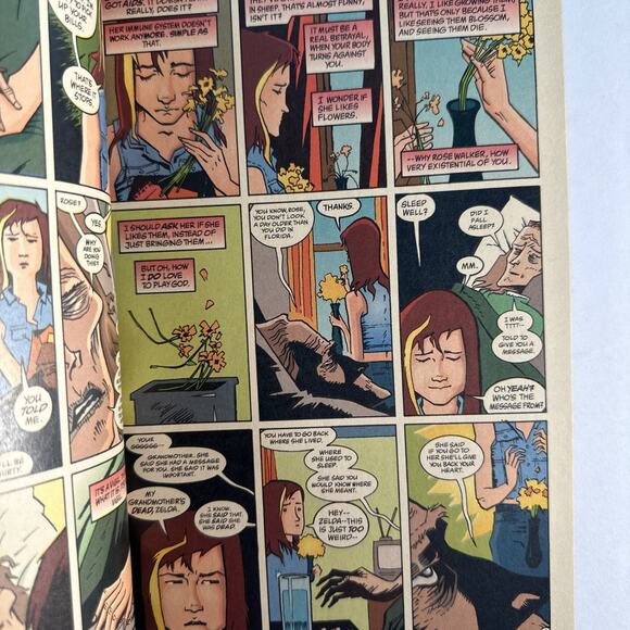 Sandman #61 The Kindly Ones (DC Comics) July 1994 - Picture 7 of 7